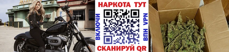 Хочу наркоту Камышлов ГАШ Кокаин ссылка на мегу tor МДМА Конопля Мефедрон