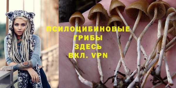 кокс Абаза