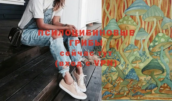 spice Абинск