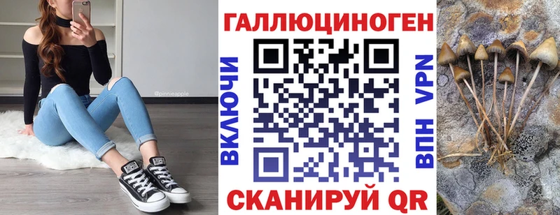 MEGA ссылка  Камышлов  Псилоцибиновые грибы Cubensis  купить  
